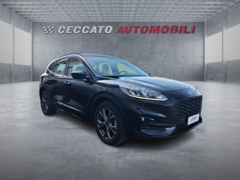 Ford Kuga Kuga 2.0 ecoblue ST-Line 2wd 120cv auto