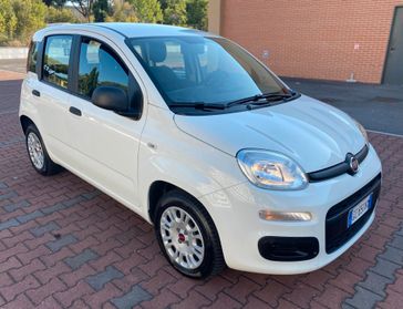 FIAT PANDA EASY 1.2cc IDONEA NEOPATENTATI