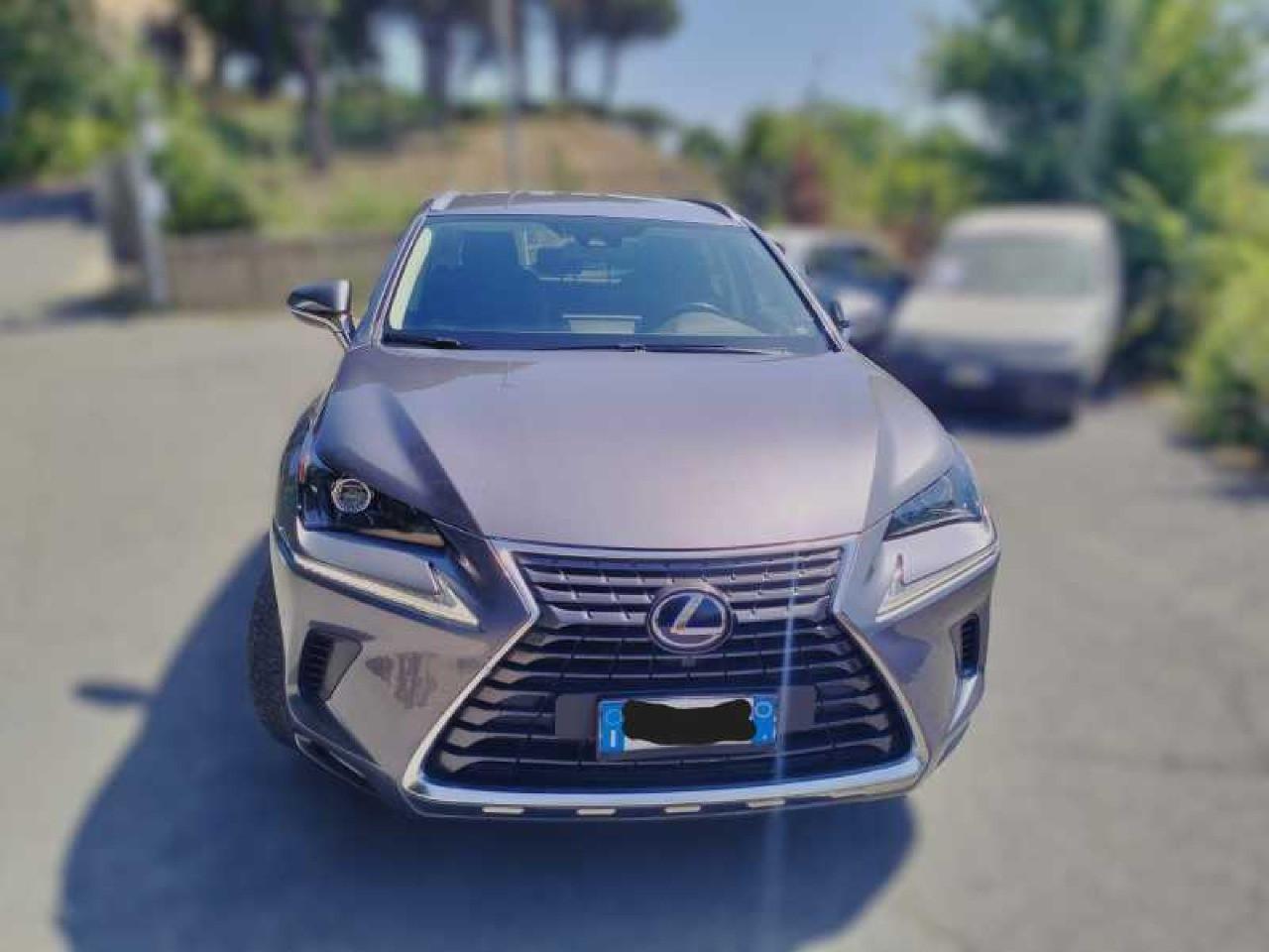 Lexus NX 300h 2.5 Business 2wd cvt