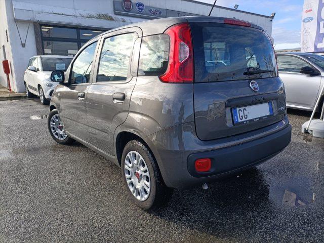 FIAT Panda 1.0 Hybrid UNIPRO, TAGLIANDI FIAT, PREZZO REALE