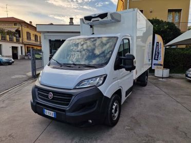 Fiat ducato cella frigo frcx