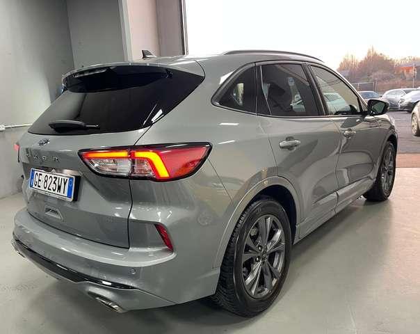 Ford Kuga Kuga III 2020 1.5 ecoblue ST-Line X 2wd 120cv auto