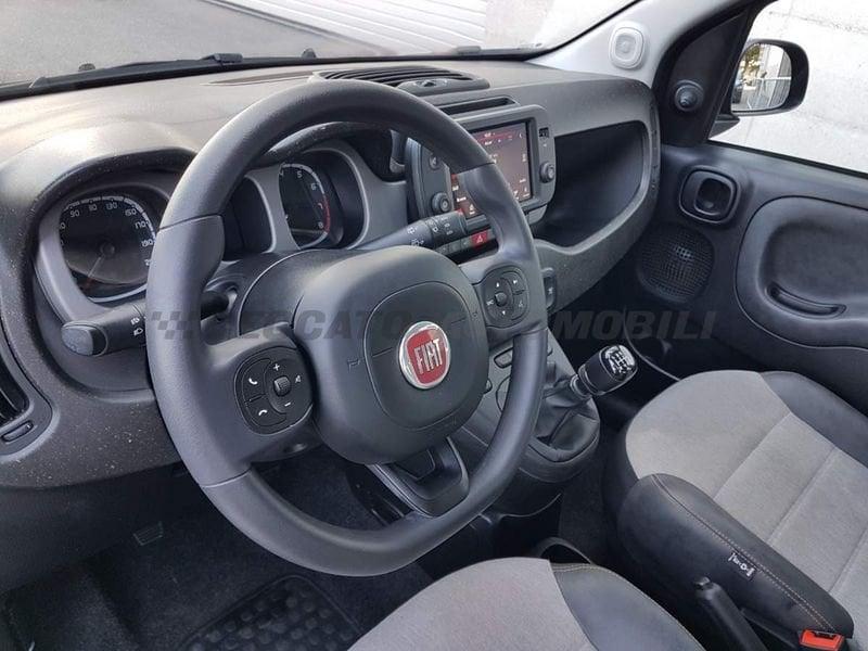 FIAT Panda Cross Panda 1.0 firefly hybrid Cross s&s 70cv