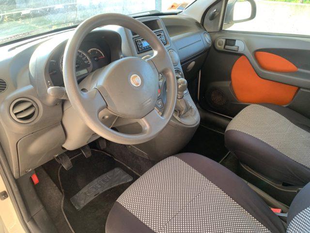 FIAT Panda 1.2 MyLife OK NEOPATENTATI EURO 5