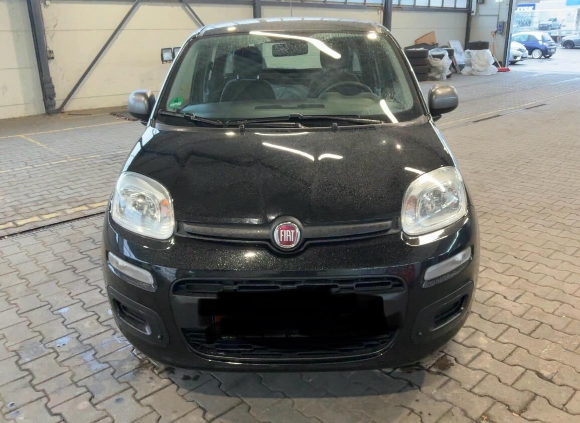 Fiat Panda 1.2 Young -solo km 21000-