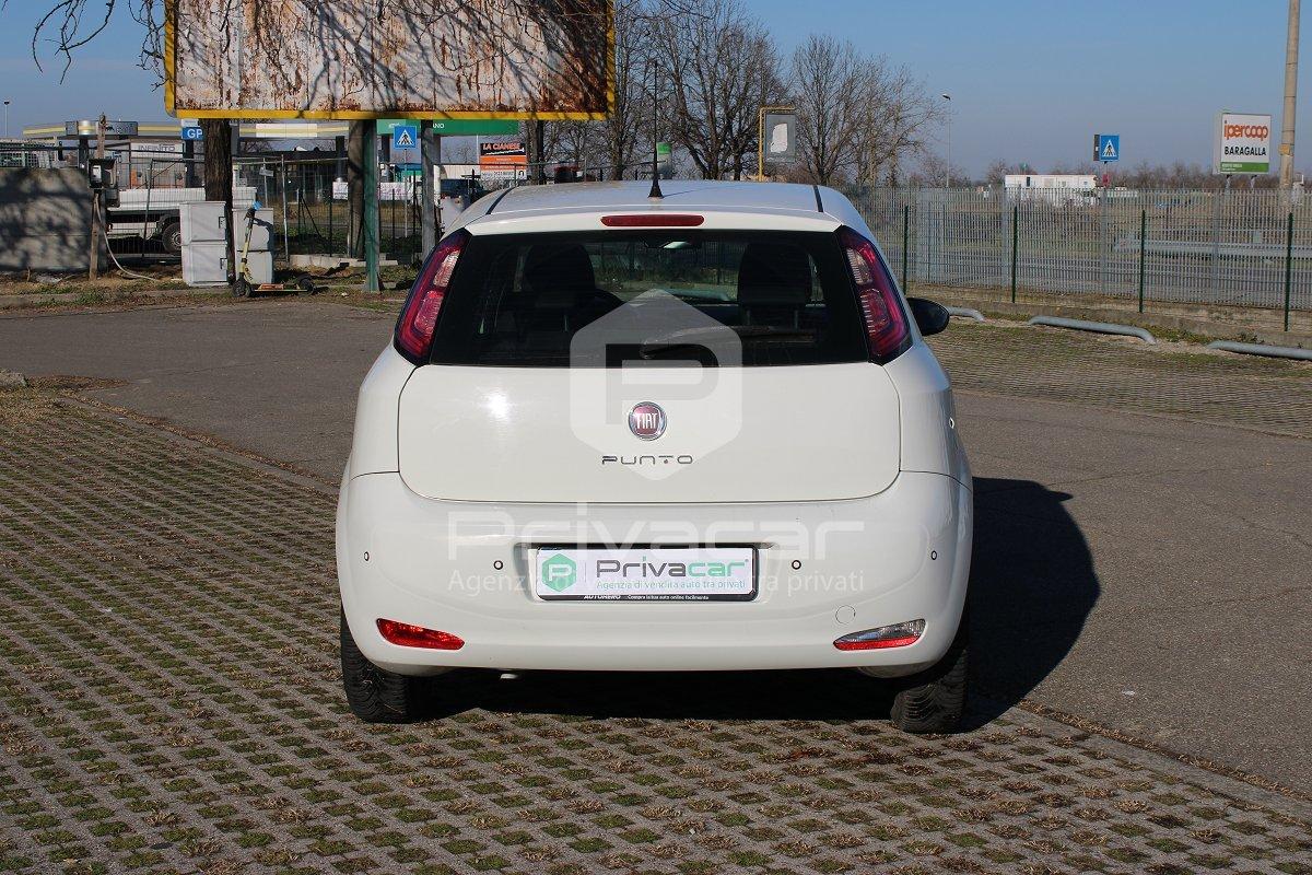 FIAT Punto 1.2 8V 5 porte Street