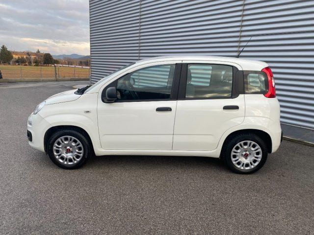 FIAT Panda 1.2 Benzina 4 cilindri OK NEOPATENTATI