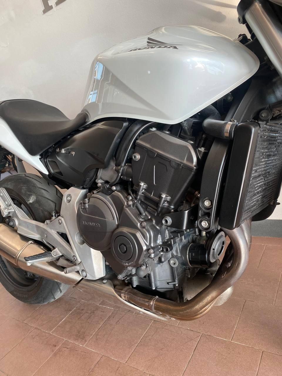 Honda Hornet