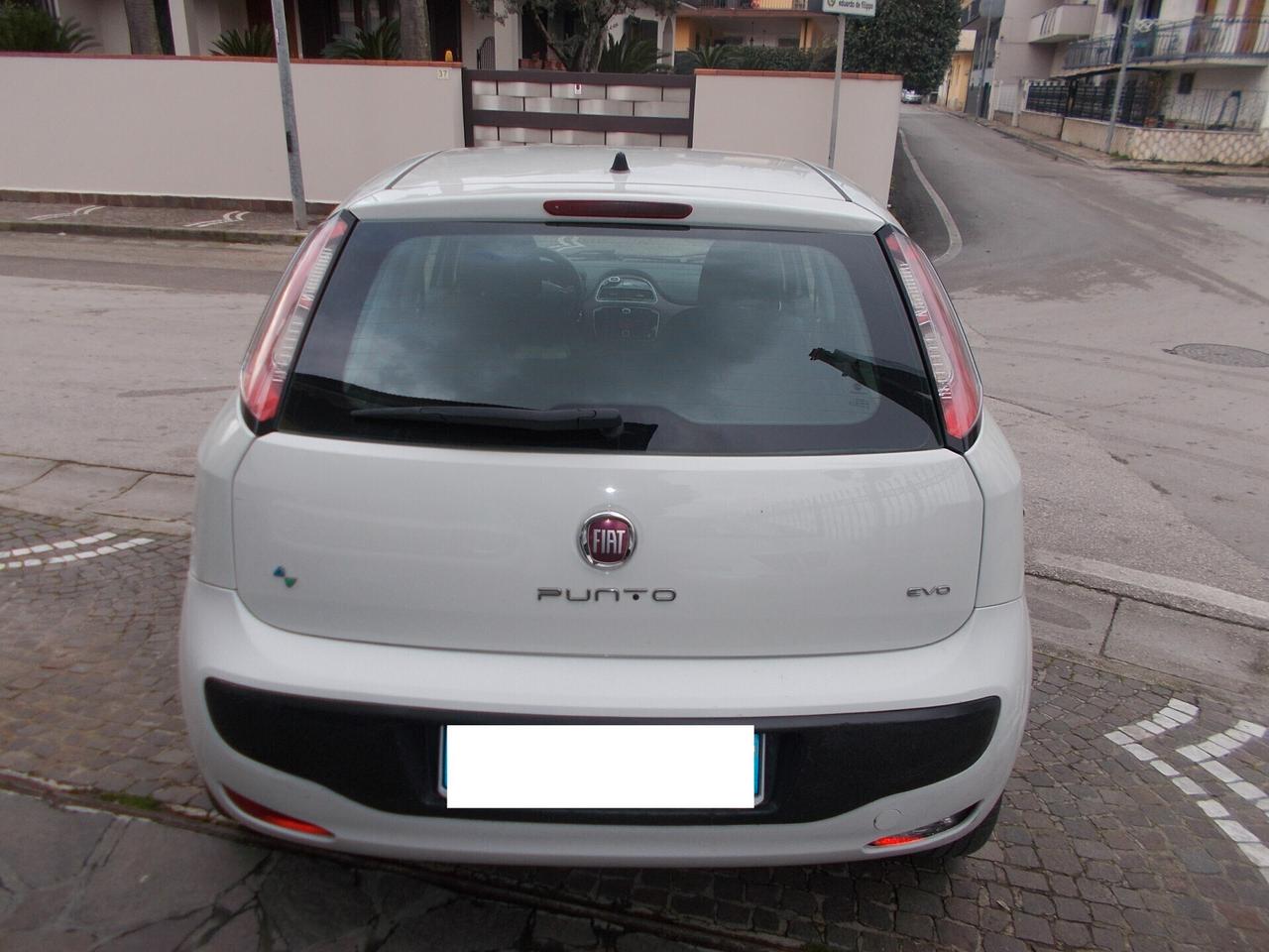 Fiat Punto Evo Punto Evo 1.4 5 porte Dynamic Natural Power