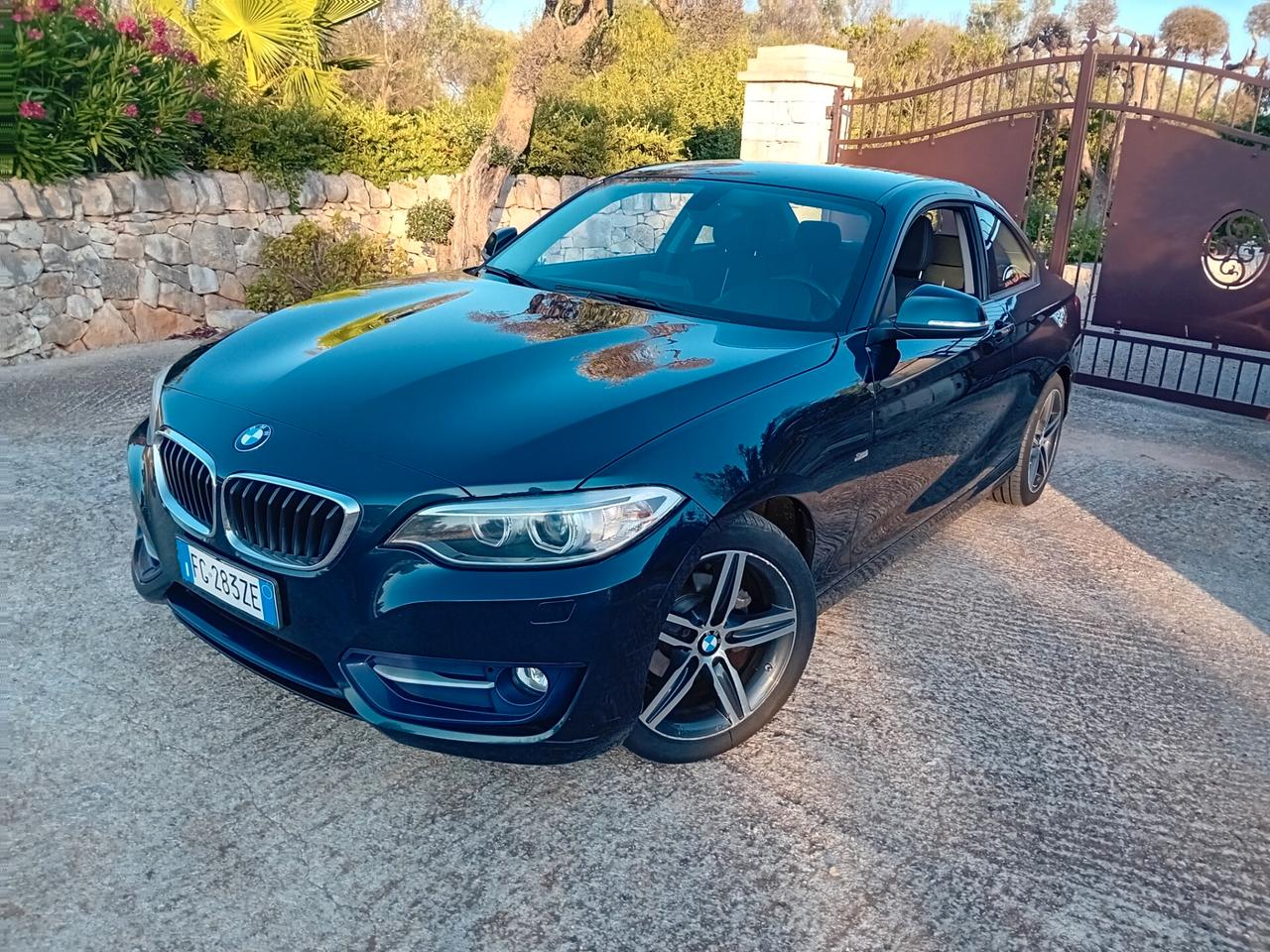 Bmw 218 218d Coupé Sport