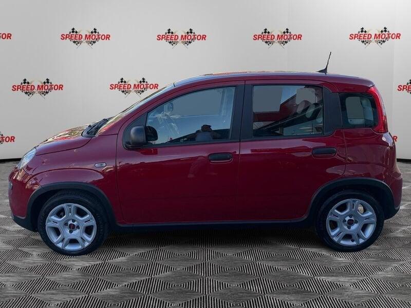 FIAT Panda Panda 1.0 firefly hybrid 70cv 5 POSTI, PRONTA CONSEGNA!