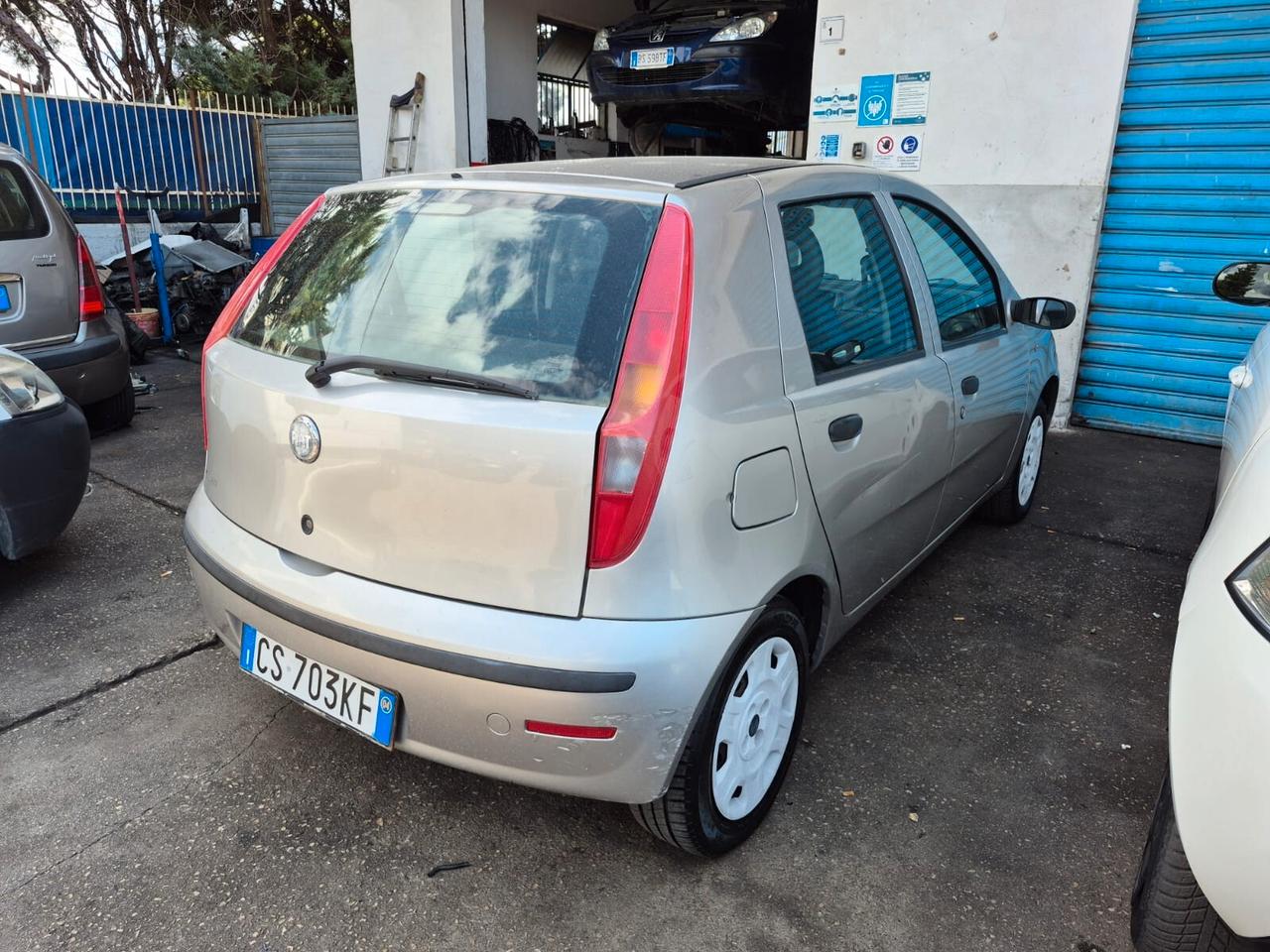 Fiat Punto 1.2 5 porte Active