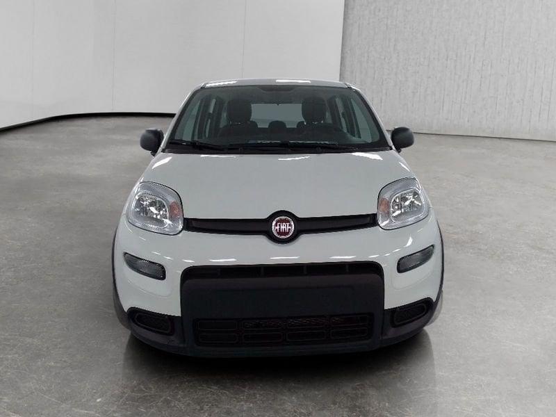 FIAT Panda 1.0 firefly hybrid s&s 70cv 5p.ti