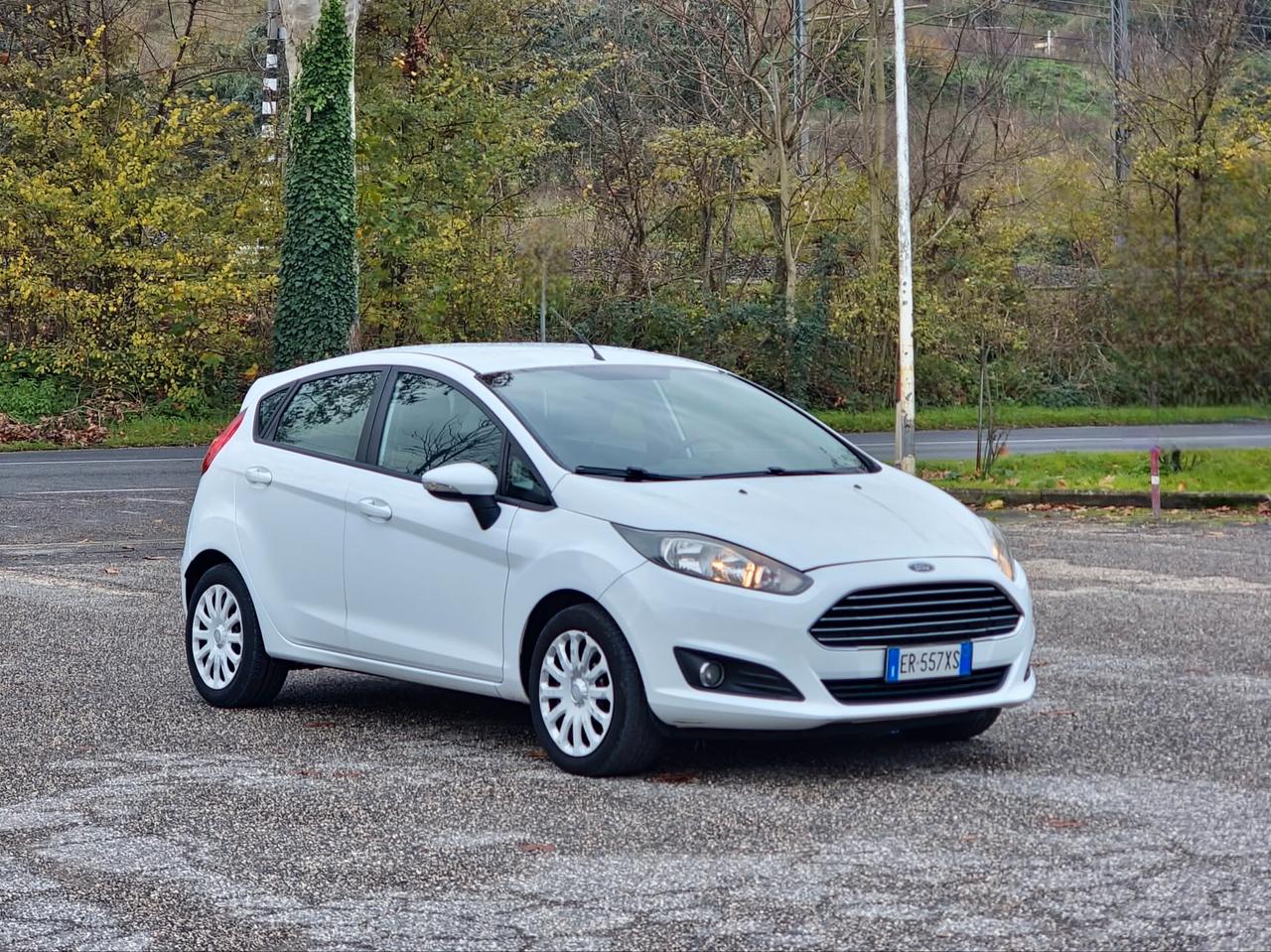 Ford Fiesta 1.0 80CV 5 porte Titanium 2013-E5B Manuale