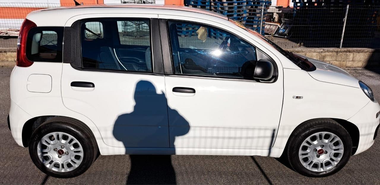 FIAT PANDA HYBRID 2022 PROMO € 8900 SENZA VINCOLI DI FINANZIAMENTO