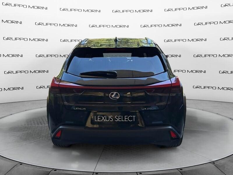 Lexus UX Hybrid Flare-Luxury 4WD MY22