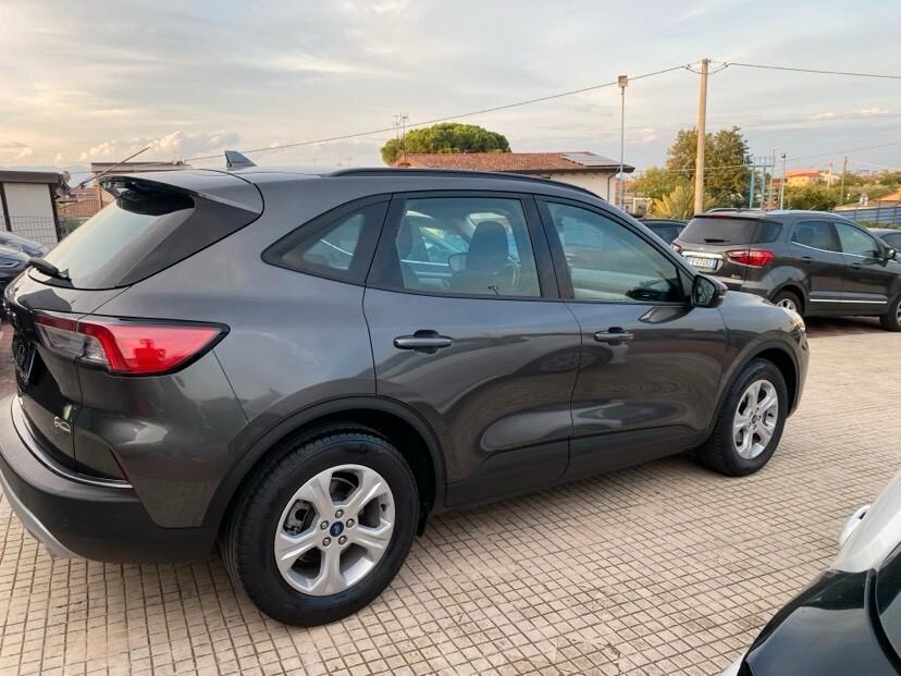 Ford Kuga 1.5 EcoBlue 120 CV 2WD Connect