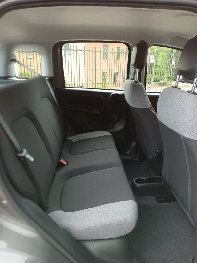 FIAT New Panda 1000 HYBRID CITY LIFE 70CV GRIGIO MAESTRO ITALIA