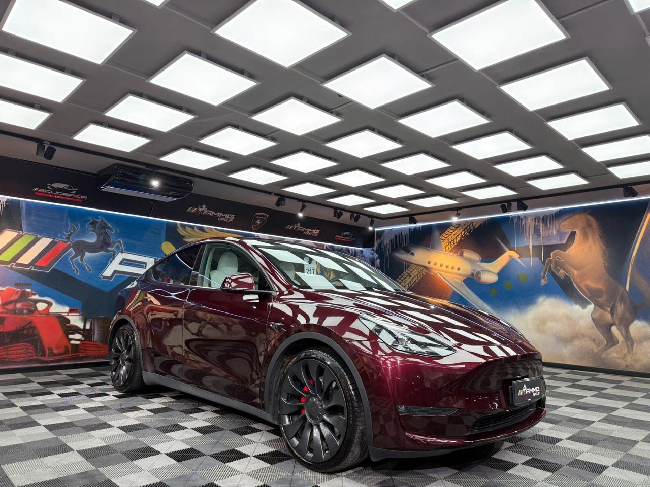 Tesla Model Y AWD Performance (423)