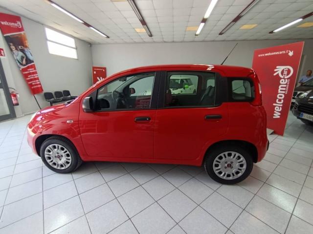 Fiat Panda 1.2 Connected by Wind s&s 69cv