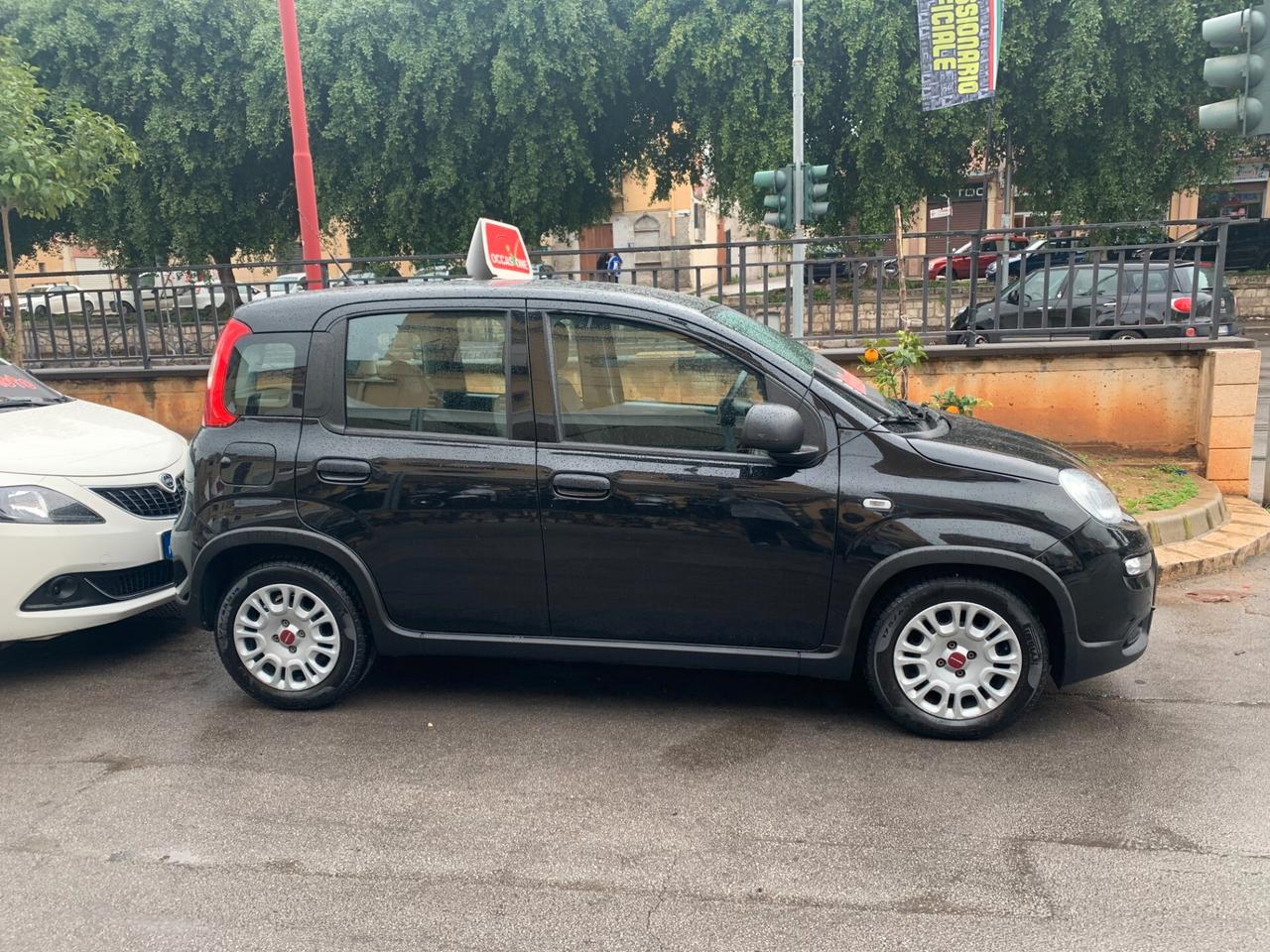 Fiat Panda 1.0Hybrid anno 2022