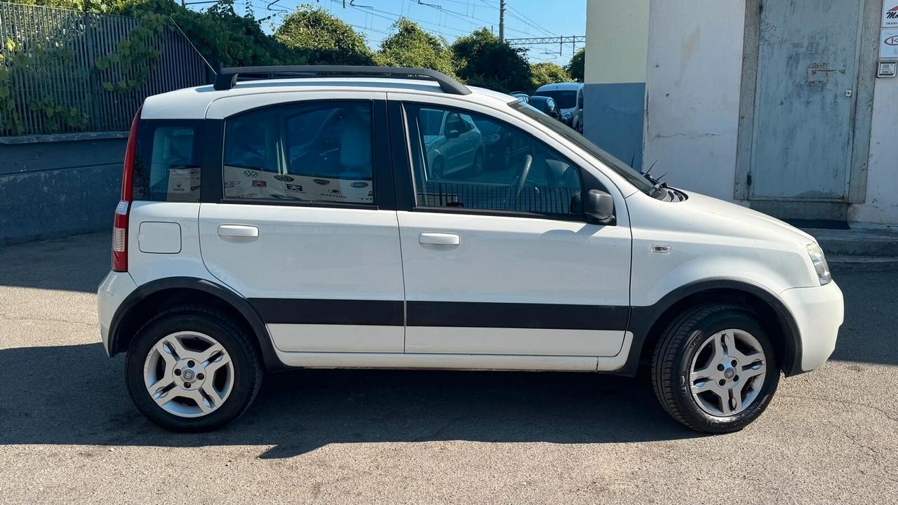 Fiat Panda 1.2 Climbing Natural Power