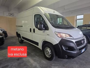 Fiat Ducato 35q L2H2 vetroresina coibentato termico NO FRIGO