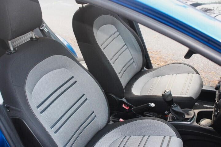 Fiat Punto Evo 1.3 Mjt 75 CV 5 porte Dynamic