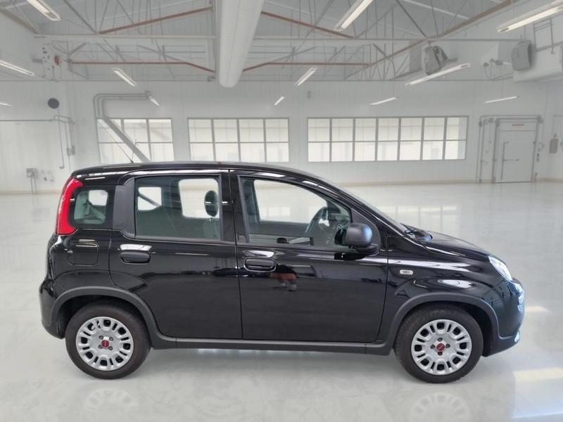 FIAT PANDA 1.0 FireFly 70cv S/S Hybrid 5 PORTE