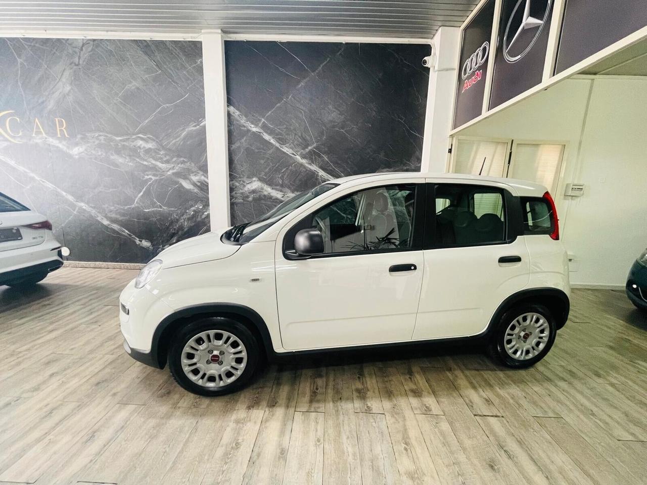 Fiat Panda 1.0 FireFly S&S Hybrid AZIENDALE 5 POSTI KM 1.633