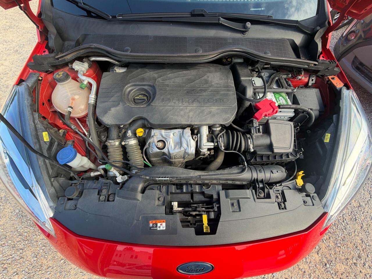 Ford Fiesta 1.5 TDCi 5 porte Plus