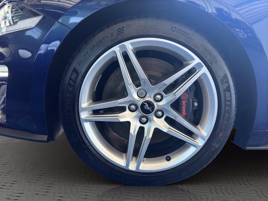 FORD Mustang Fastback 5.0 ti-vct V8 GT 450cv auto my20 del 2020