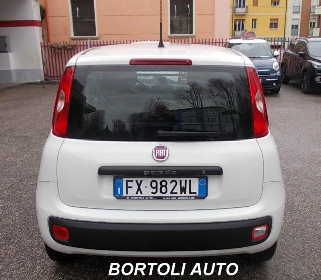 FIAT Panda 1.2 39.000 KM VAN 4 POSTI N1 EASY IVA COMPRESA