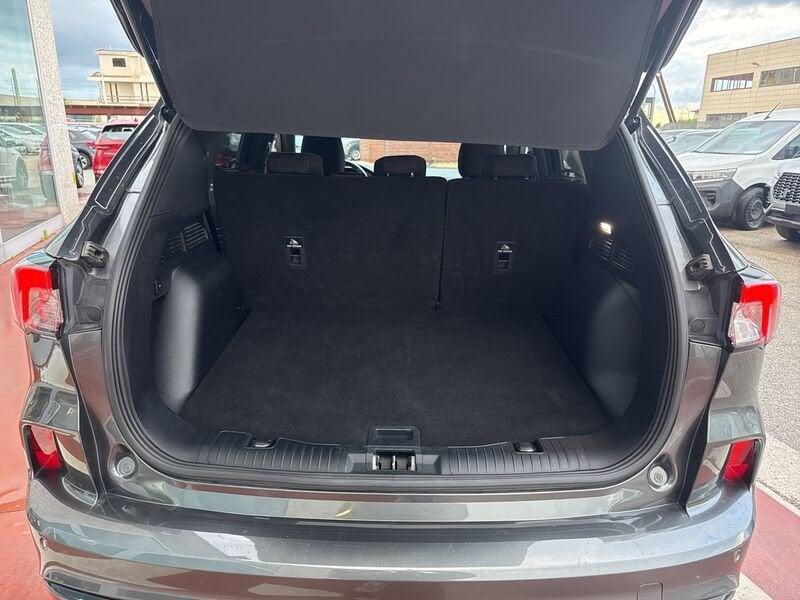 Ford Kuga 1.5 EcoBlue 120 CV aut. 2WD ST-Line