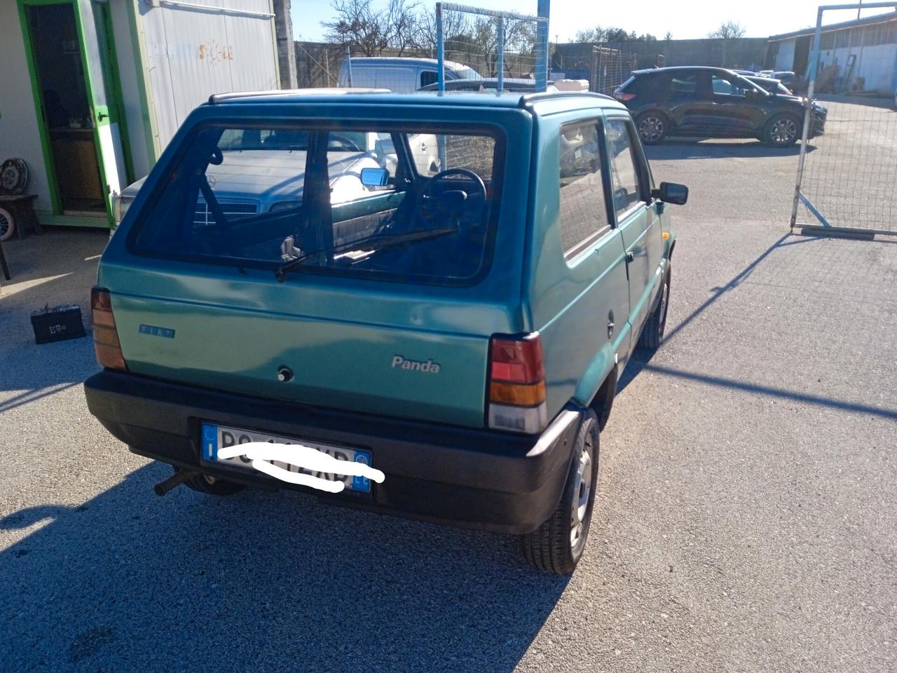 Fiat Panda 900 i.e. cat Young
