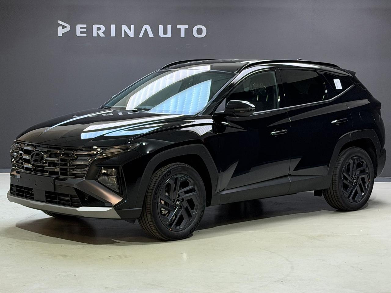 Hyundai Tucson 1.6 hev Business 2wd 239cv auto