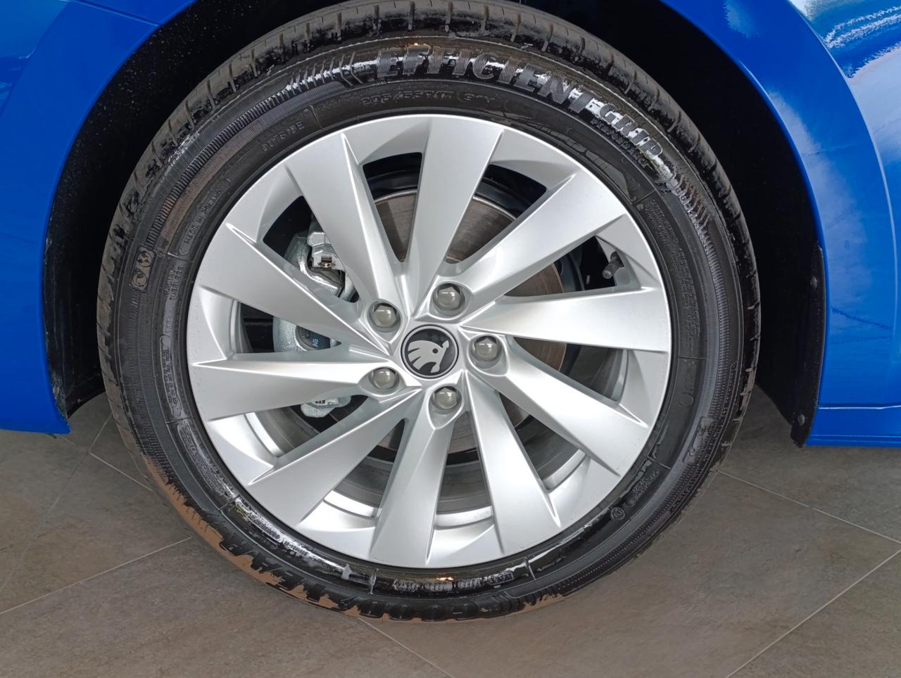 Skoda Octavia Wagon 2.0 tdi Executive 150cv dsg