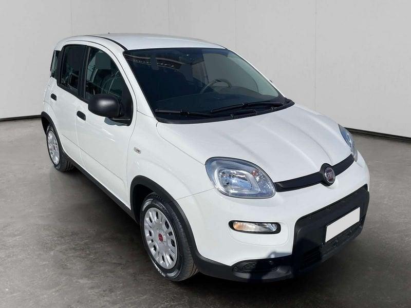 FIAT Panda 1.0 firefly hybrid s&s 70cv