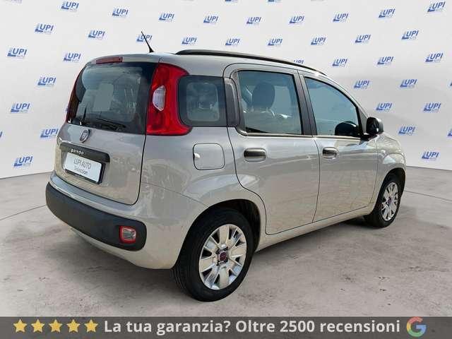 Fiat Panda 1.2 Easy easypower Gpl 69cv