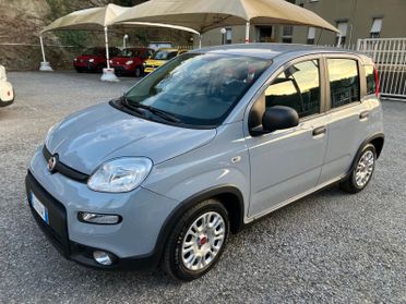 Fiat Panda 1.0 FireFly S&S Hybrid Allestim. Confort Plus