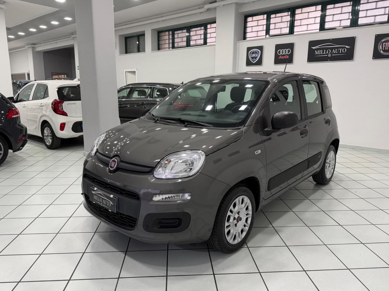 Fiat Panda 1.2cc 69cv Easy 2021
