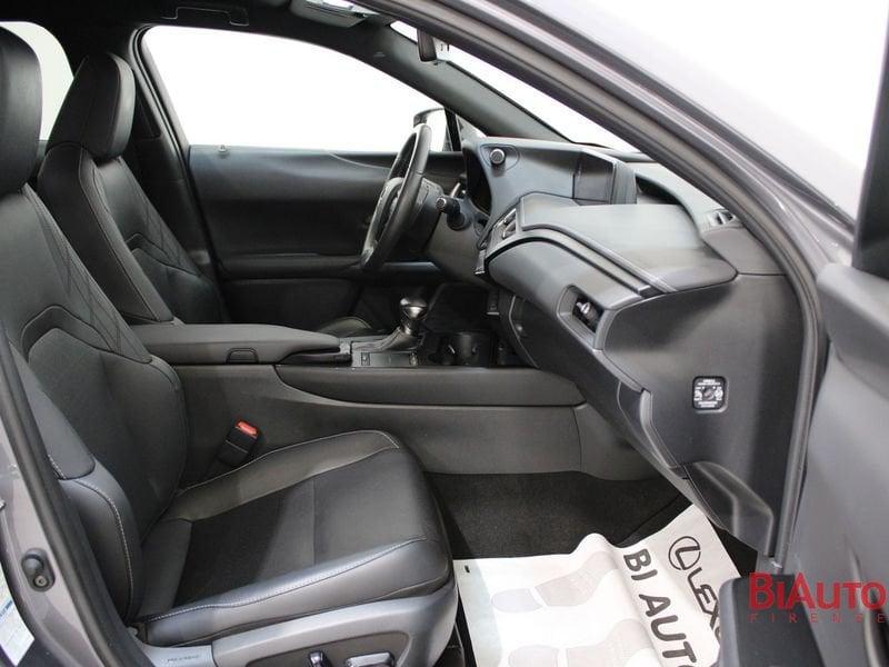 Lexus UX Hybrid 4WD Luxury