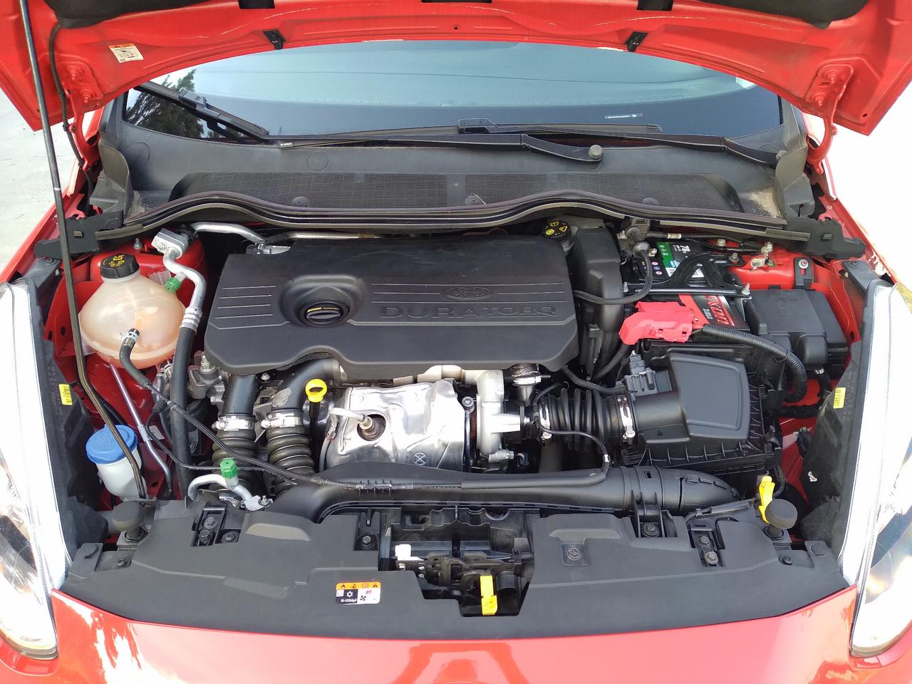 Ford Fiesta 1.5 TDCi 5 porte Plus