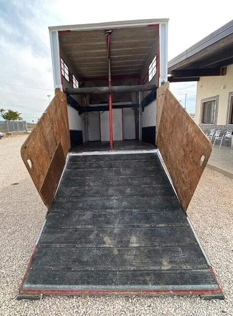 Fiat daily trasporto cavalli 2 posti PATENTE B