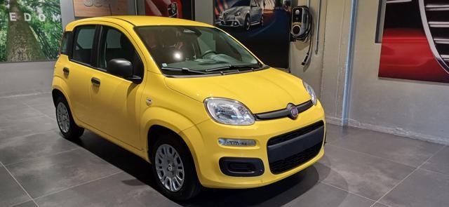 FIAT Panda 1.0 FireFly S&S Hybrid ICON