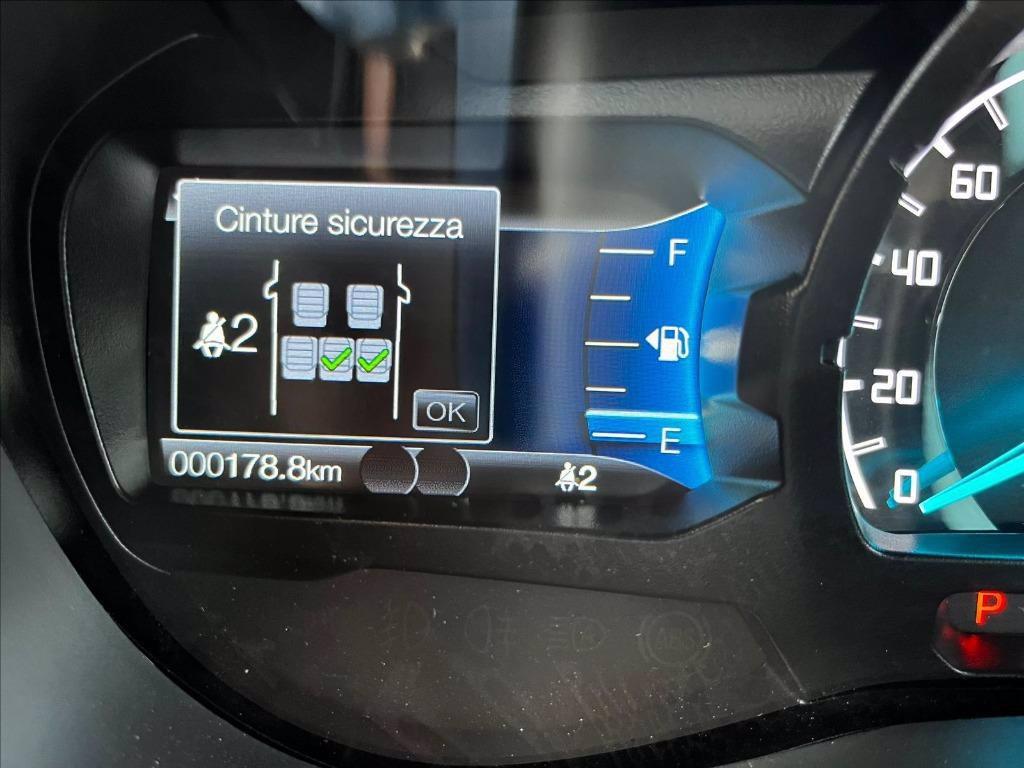 FORD Ranger 2.0 ecoblue double cab Wildtrak 170cv auto del 2024