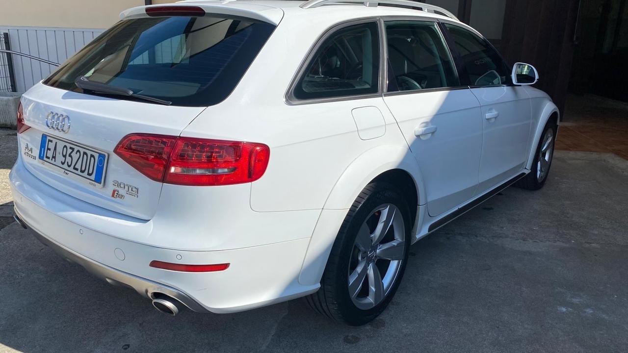 Audi A4 allroad A4 allroad 3.0 V6 TDI F.AP. S tronic Ambiente