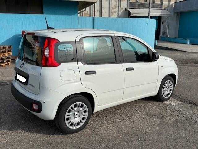 Fiat Panda aziendale iva esposta
