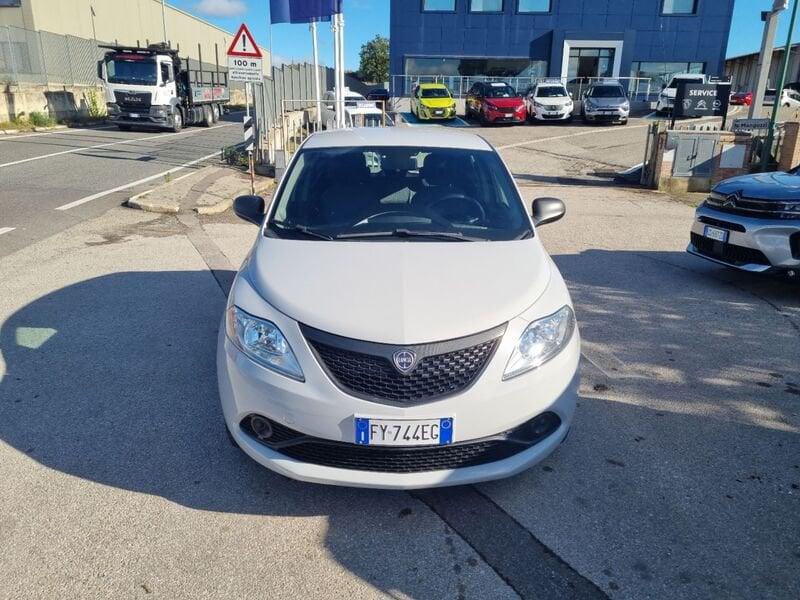 Lancia Ypsilon Ypsilon 1.2 69 CV 5 porte Elefantino