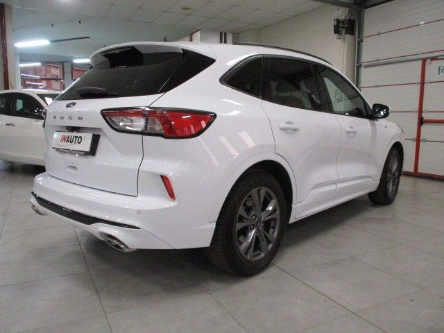 FORD Kuga 1.5 EcoBlue 120 CV aut. 2WD ST-Line